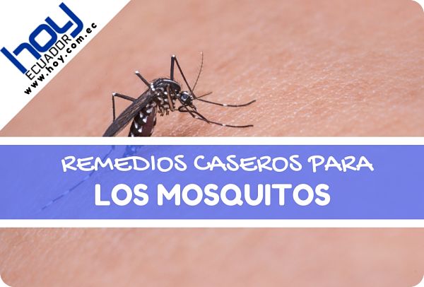 remedios caseros para picadura de mosquitos
