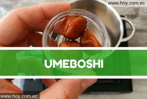 Lee más sobre el artículo Umeboshi