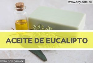 Lee más sobre el artículo Aceite de eucalipto