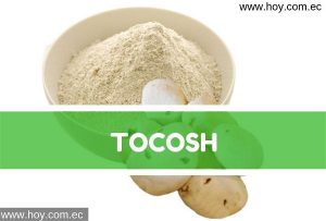 Lee más sobre el artículo Tocosh